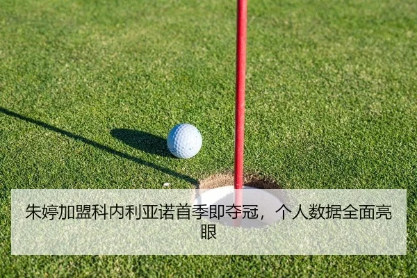 zhu-ting-jia-meng-ke-nei-li-ya-nuo-shou-ji-ji-duo-guan-ge-ren-shu-ju-quan-mian-liang-yan-2-576.jpg