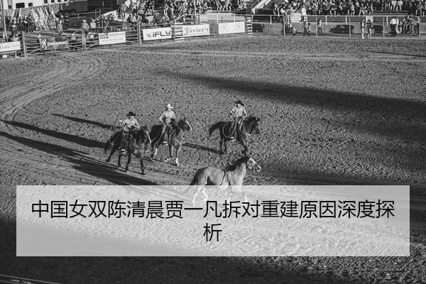 zhong-guo-nv-shuang-chen-qing-chen-jia-yi-fan-chai-dui-chong-jian-yuan-yin-shen-du-tan-xi-2-541.jpg